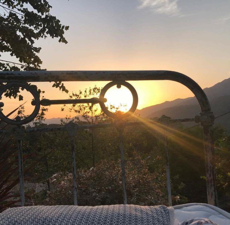 Casa Santa Lucia Bed & Breakfast Bocognano Eksteriør bilde